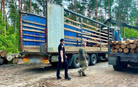 Звягельські поліцейські передали деревину на потреби ЗСУ