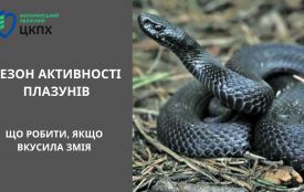 Почався сезон активності плазунів