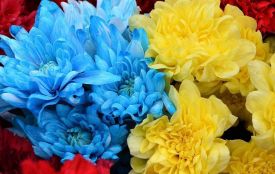 Житомир попрощався із загиблим Героєм - Євгенієм Поліщуком