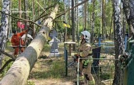 Рятувальники ліквідували загрозу падіння аварійних дерев на кладовищі