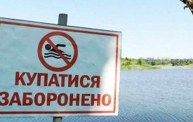 У Житомирі не рекомендують купатися на всіх міських пляжах: оприлюднені результати перевірок води