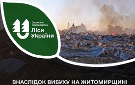 Під час вибуху в Березині постраждала інфраструктура Левківського лісництва і житло працівників