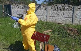 Фахівці виявили 2 точки перевищення гранично допустимих концентрацій продуктів згорання в Березині і 5 точок - в Житомирі