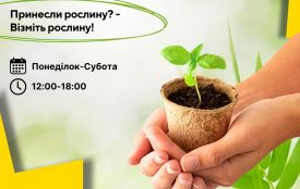 «Квітковий тіндер»: у Житомирі стартував обмін кімнатними рослинами — як долучитися