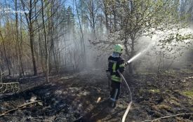 Лише за добу вогнеборці ліквідували 8 пожеж сухої трави