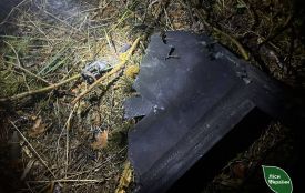 Ліси на Житомирщині й Київщині потрапили в зону ураження під час великої нічної атаки 728 ворожих дронів по Україні