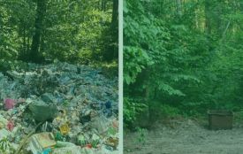 У рекреаційній дільниці між селами Буки та Дениші ліквідовано стихійне сміттєзвалище
