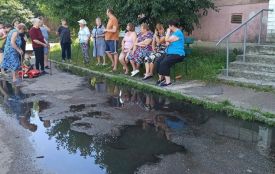 Каналізаційна катастрофа в Зарічанах: коли чиновницька байдужість стає екологічною загрозою