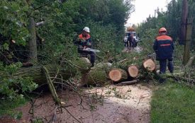 Енергетики працюють, щоб відновити подачу електрики в домівки