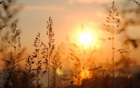 Міжнародні й державні свята в серпні 2025 року: чи буде вихідний на День Незалежності України