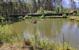 Пірнув і не виплив: 29-річний чоловік потонув у ставку на Коростенщині