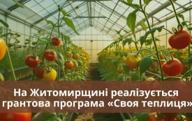 На Житомирщині реалізується грантова програма «Своя теплиця»