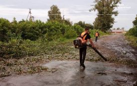 Після грози дорожники прибрали більше двох десятків дерев, що заважали проїзду