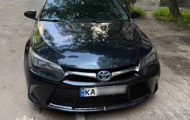 Патрульні розшукали водія, який на стоянці біля ТРЦ наїхав на собаку та залишив її помирати