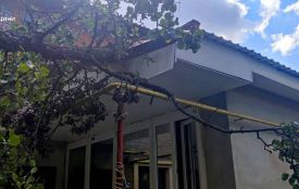 Рятувальники продовжують прибирати повалені негодою дерева