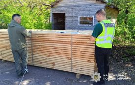 На Житомирщині громадянин Туреччини організував контрабанду української сосни майже на 5 мільйонів гривень