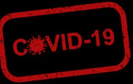 На Житомирщині фіксується до 30 випадків Covid-19 на тиждень, циркулює новий субваріант Omicron Stratus. ВІДЕО