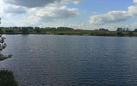 Державі повернуто став на Бердичівщині, яким протиправно користувалася підприємиця для розведення риби