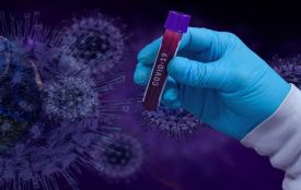 Штами коронавірусу Nimbus та Stratus швидко поширюються в Україні