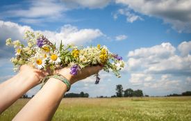 Погода у Житомирі: комфортна температура, у неділю можливий короткочасний дощ