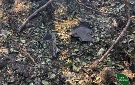 Лісові масиви на Житомирщині знову постраждали від уламків збитих дронів
