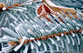 Погода у Житомирі: хмарно з проясненнями, без опадів