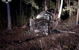 У ДТП на Звягельщині автівка зʼїхала в кювет: травми отримали троє людей