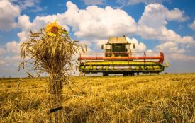 На Житомирщині завершено збір ранніх зернових та зернобобових культур