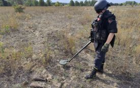 Піротехніки ДСНС знищили дві міни часів Другої світової, знайдені у Радомишльськй громаді