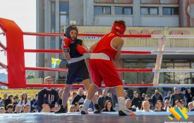 У Житомирі відбувся відкритий міський турнір з боксу пам’яті Героя України Андрія Лінійчука «Кельта»