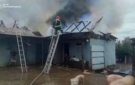 30 кроликів врятували вогнеборці під час пожежі у Волиці