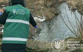 МКП «Бердичівкомунсервіс» відшкодувало понад 343 тис. грн збитків за шкоду довкіллю