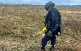Піротехніки ДСНС області знищили стару міну, яку знайшли у Вишевицькій громаді