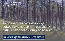 За позовом прокуратури суд зобов’язав повернути земельну ділянку лісового фонду власнику