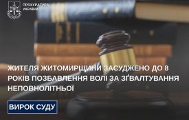 Жителя Житомирщини засуджено до 8 років позбавлення волі за зґвалтування неповнолітньої