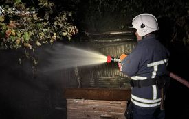 В Андрушівці вогнеборці врятували пасіку від знищення