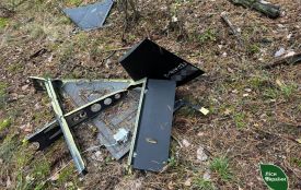 У лісі на Коростенщині виявили уламки шахеда