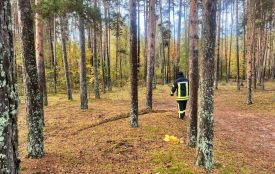 На Житомирщині знайшли зниклу в лісі 73-річну жительку Пряжева