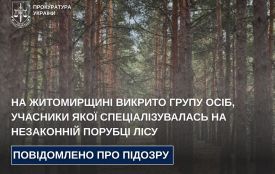 На Житомирщині викрито групу осіб, учасники якої спеціалізувалась на незаконній порубці лісу