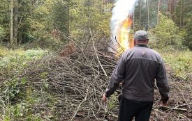 Попри дощову погоду екоінспектори фіксують факти спалювання та порушення пожежної безпеки на Житомирщині