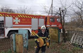 У Коростенському районі на пожежі травмувалася жінка