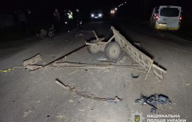 У ДТП в Попільнянській громаді травмовано водія гужового возу