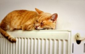 У Житомирі повноцінно не розпочинають опалювальний сезон через відсутність лімітів газу від держави - міськрада