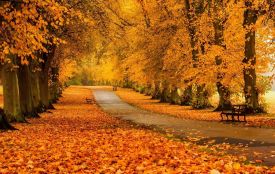 Завтра в Україні стане тепліше — прогноз погоди