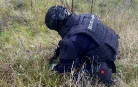Сапери ДСНС знищили два артснаряди часів минулих війн, знайдені у Житомирському районі