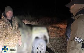 СБУ спільно з ДБР затримали контрактника, який намагався налагодити нелегальний продаж бойового озброєння у прикордонні Житомирщини