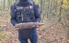 Сапери ДСНС знешкодили артснаряд часів минулих війни, який знайшов чоловік під час збирання грибів у Житомирському районі