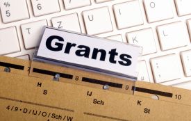 Гранти на навчання для молодих підприємців