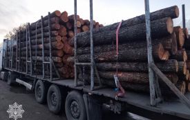 Патрульна поліція продовжує контролювати законність перевезення деревини