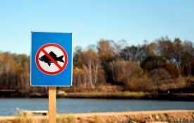 З 1 листопада заборонено вилов риби у межах зимувальних ям у рибогосподарських водних об’єктах